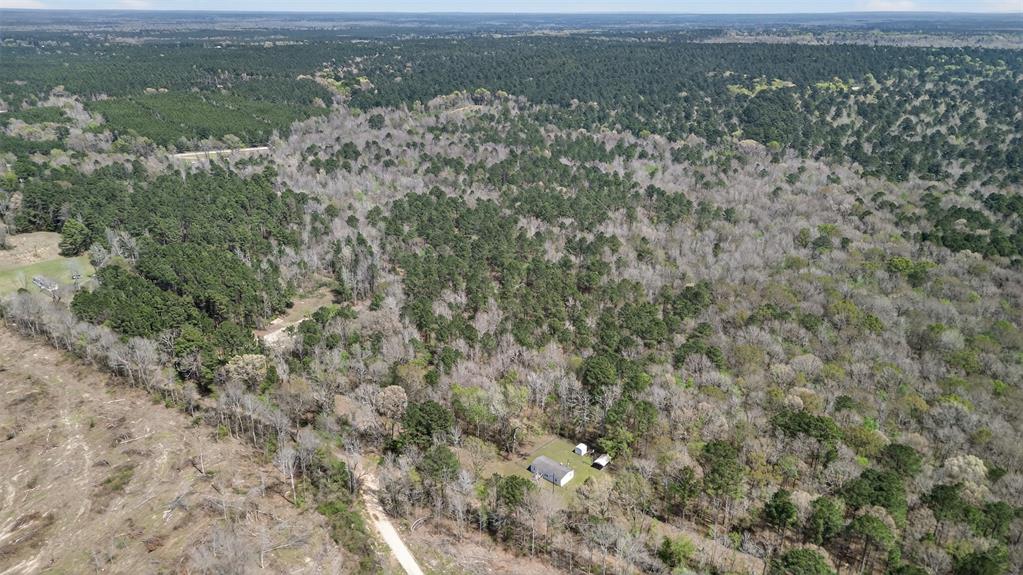 Hwy 49 County Road 3612 Property Photo 8