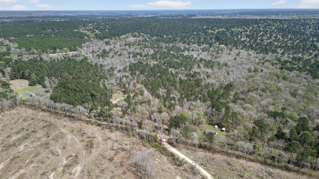 Hwy 49 County Road 3612 Property Photo 9