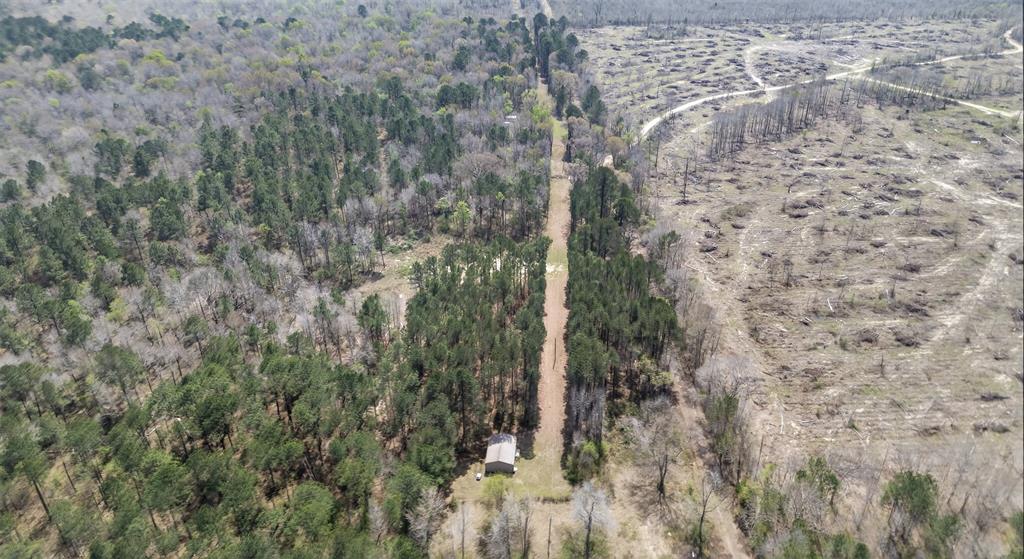 Hwy 49 County Road 3612 Property Photo 13