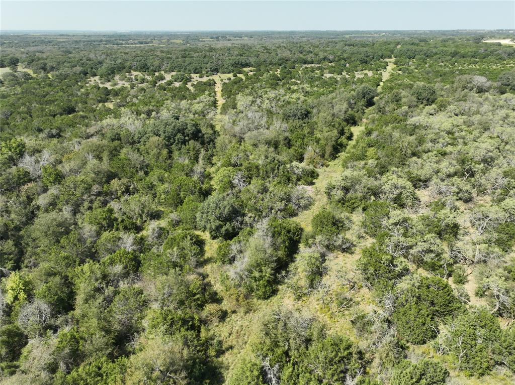 1695 Fm 2823 Property Photo 37