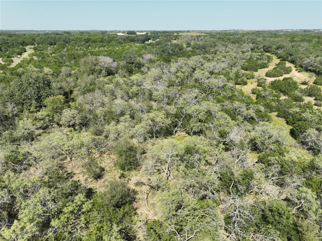 1695 Fm 2823 Property Photo 39