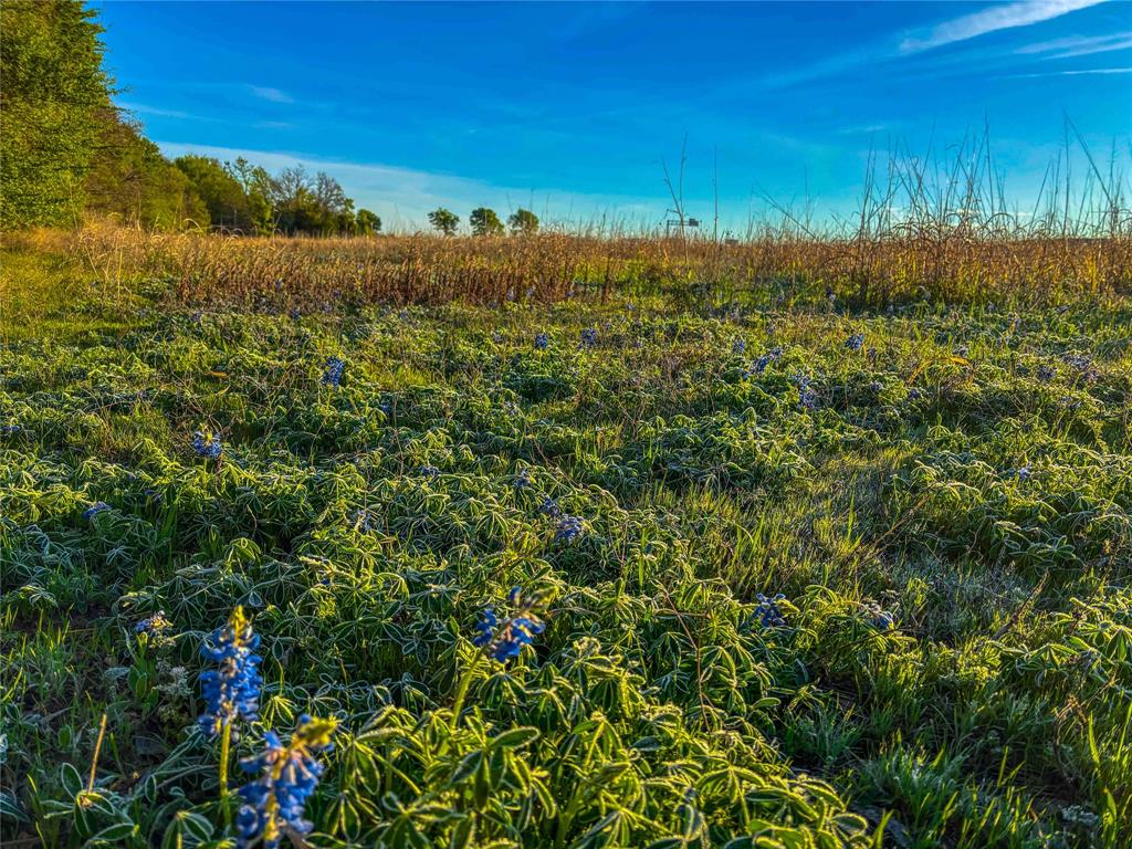 Unk Ih 35 Property Photo 24