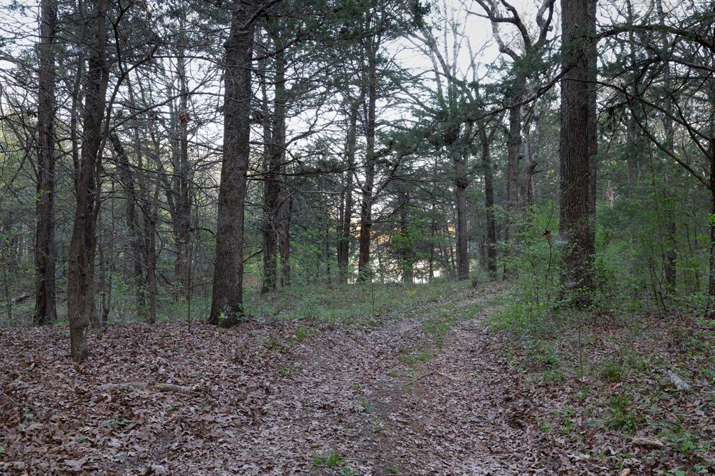 182 Huts Crossing Road Property Photo 34