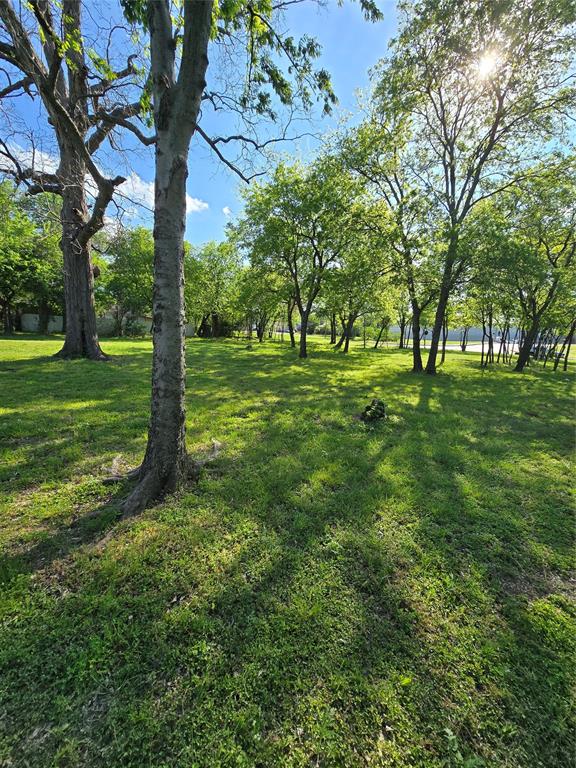 823 Millard Street Property Photo 6
