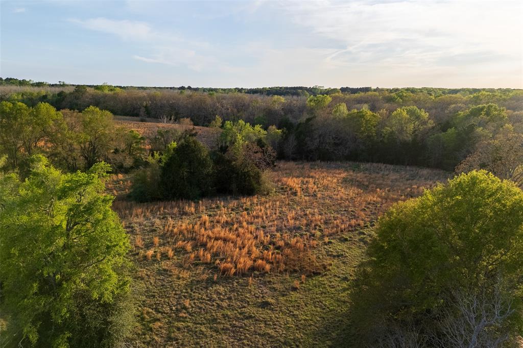 00 County Road 117 Property Photo 1