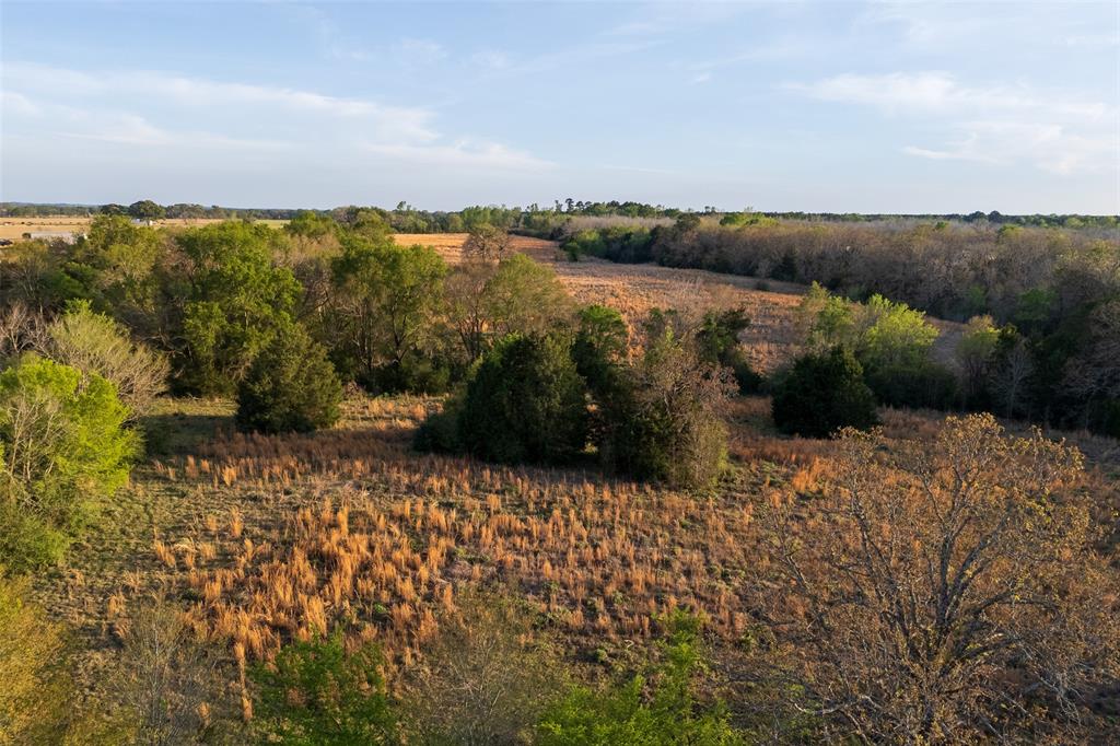 00 County Road 117 Property Photo 2
