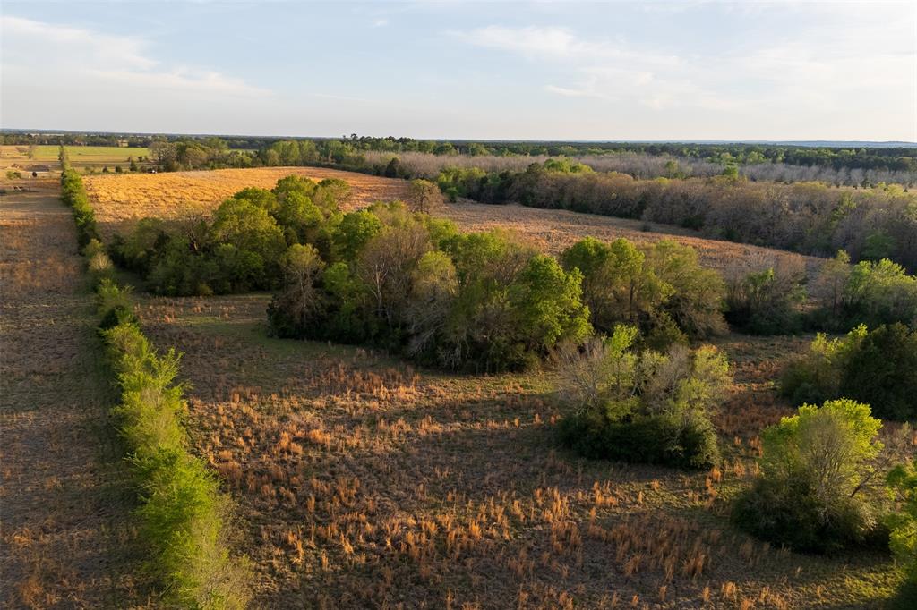 00 County Road 117 Property Photo 4