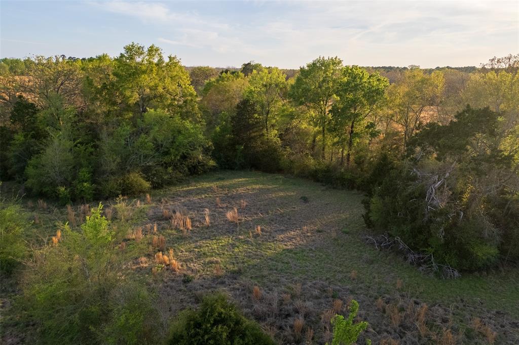 00 County Road 117 Property Photo 6