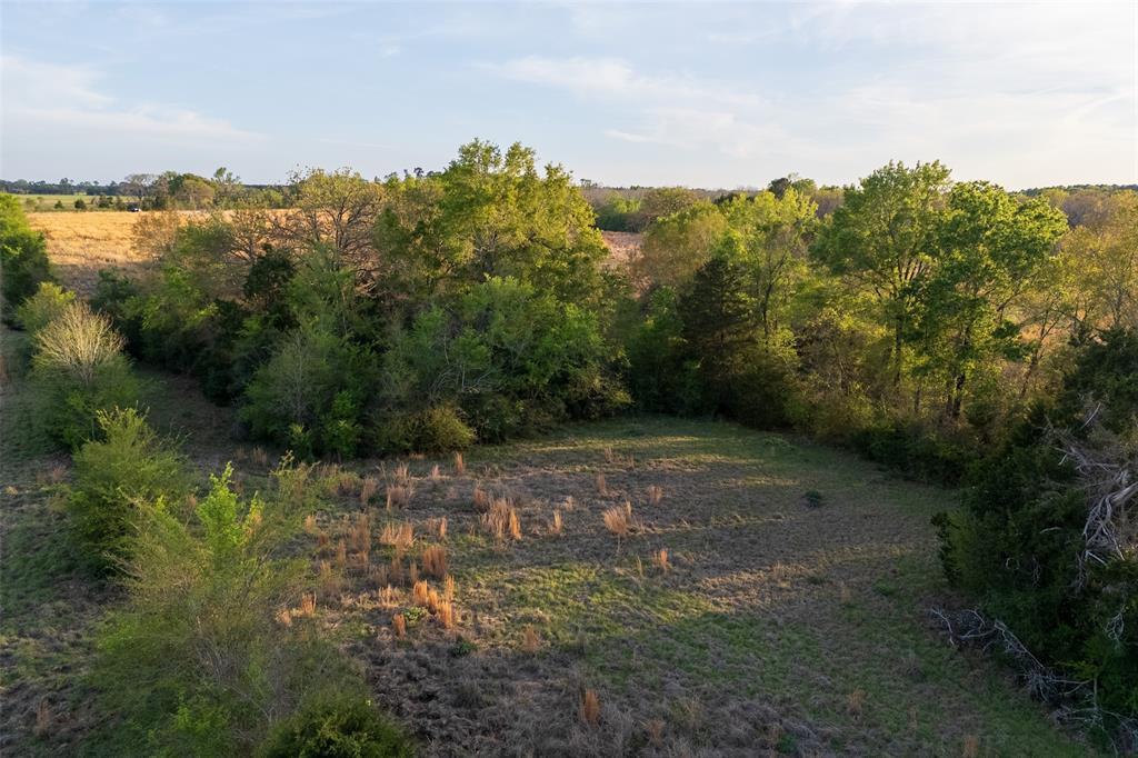 00 County Road 117 Property Photo 7