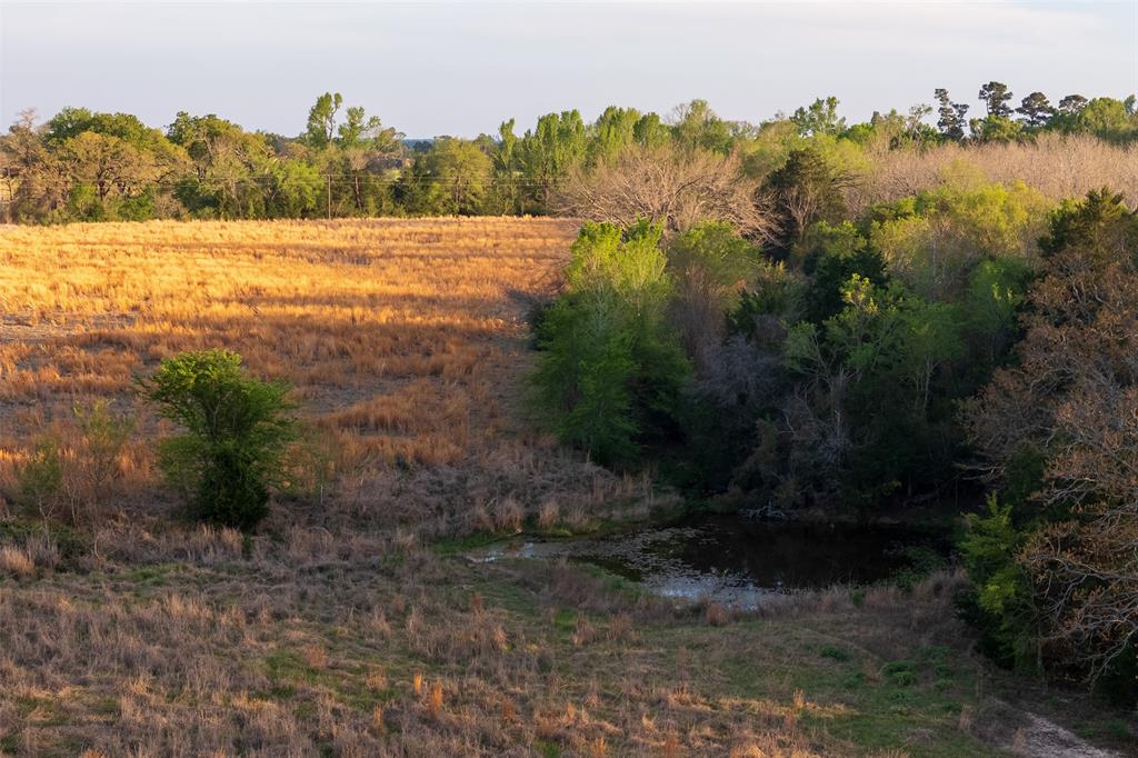 00 County Road 117 Property Photo 8