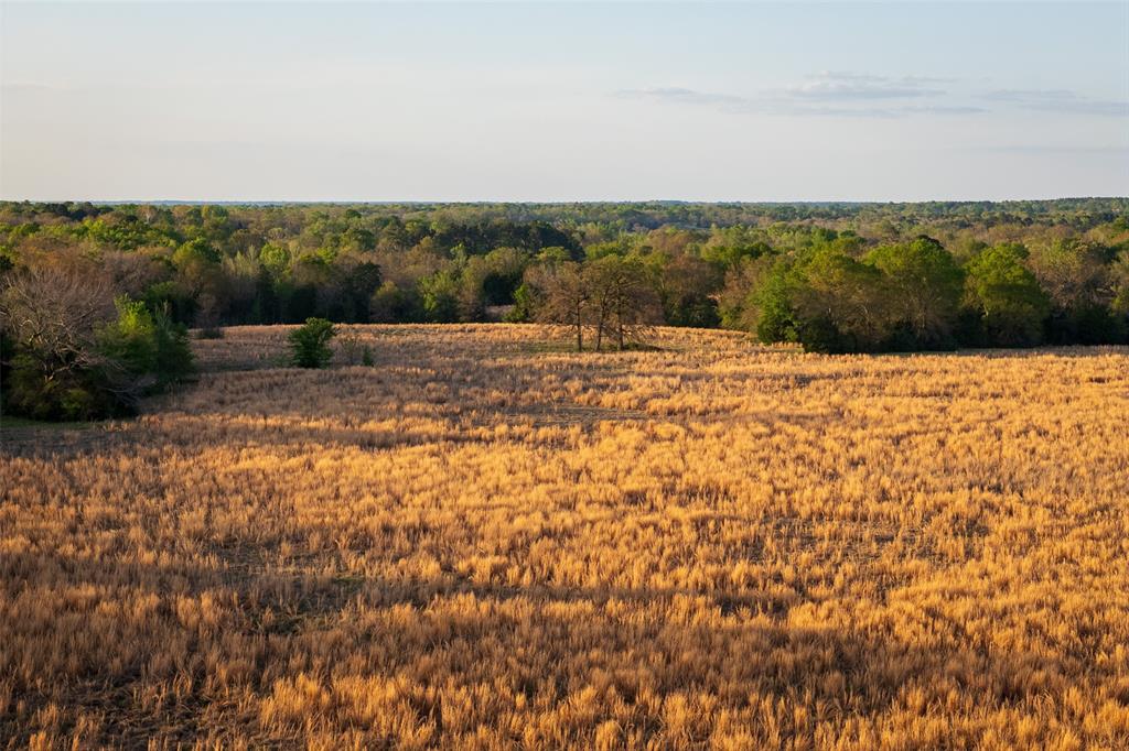 00 County Road 117 Property Photo 11