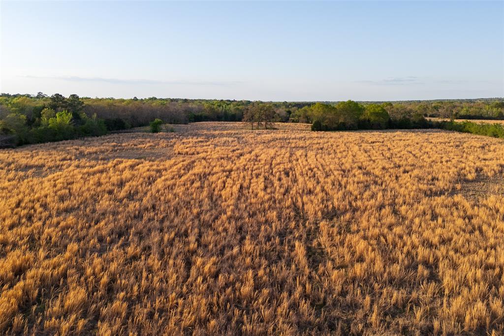 00 County Road 117 Property Photo 17