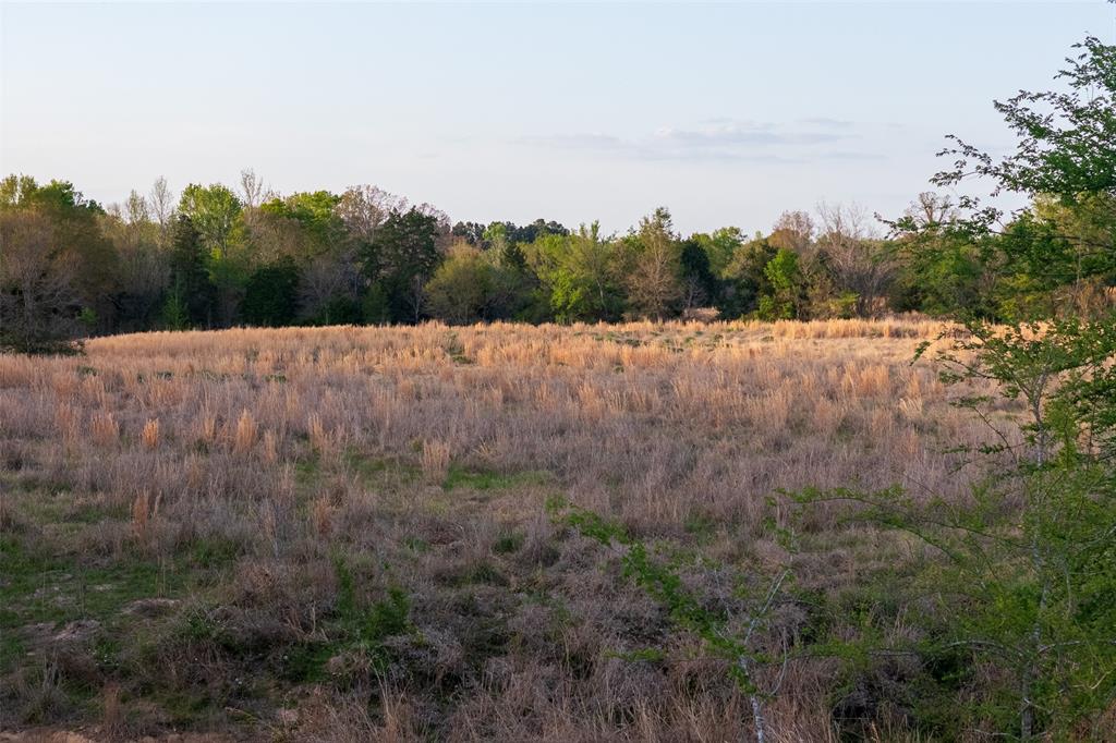 00 County Road 117 Property Photo 19
