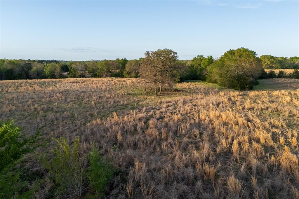 00 County Road 117 Property Photo 20