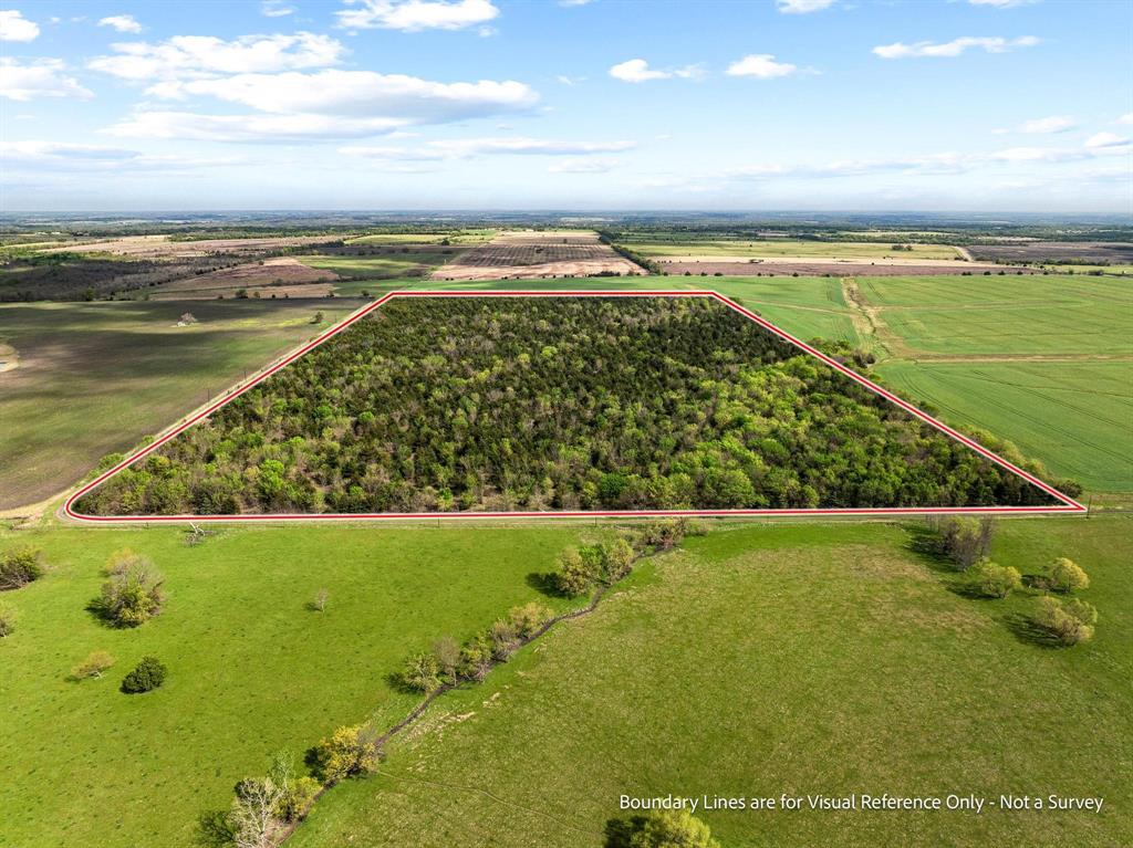 Tbd County Road 3230 Property Photo 4