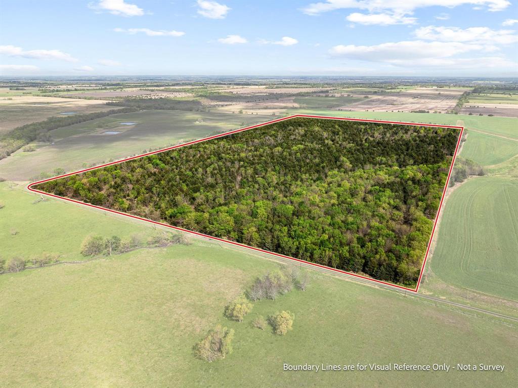Tbd County Road 3230 Property Photo 6