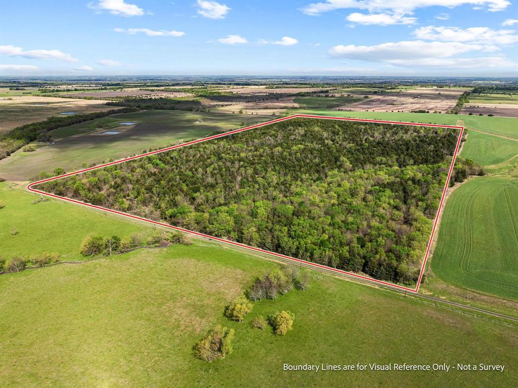 Tbd County Road 3230 Property Photo 7