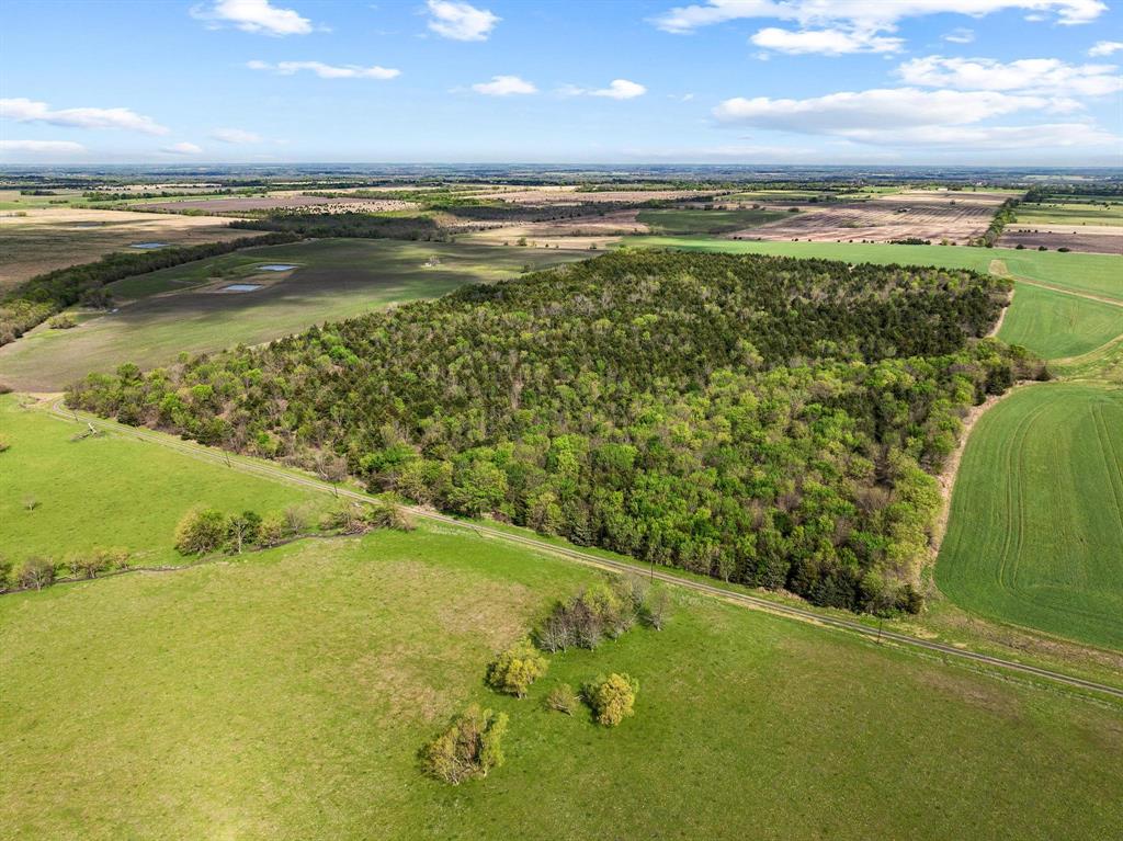 Tbd County Road 3230 Property Photo 8