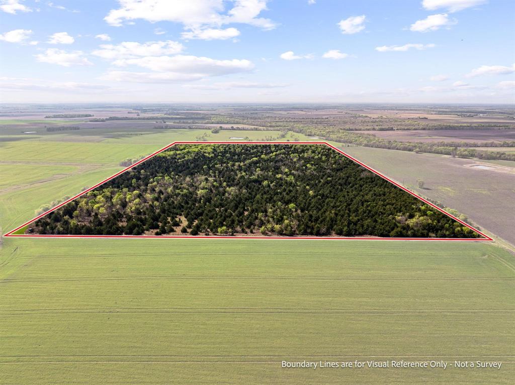 Tbd County Road 3230 Property Photo 9