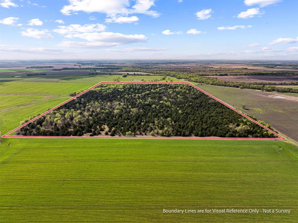 Tbd County Road 3230 Property Photo 10