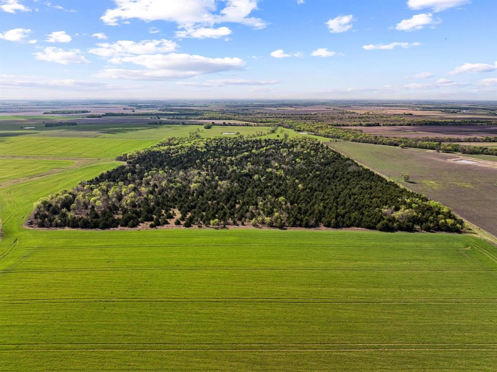 Tbd County Road 3230 Property Photo 11