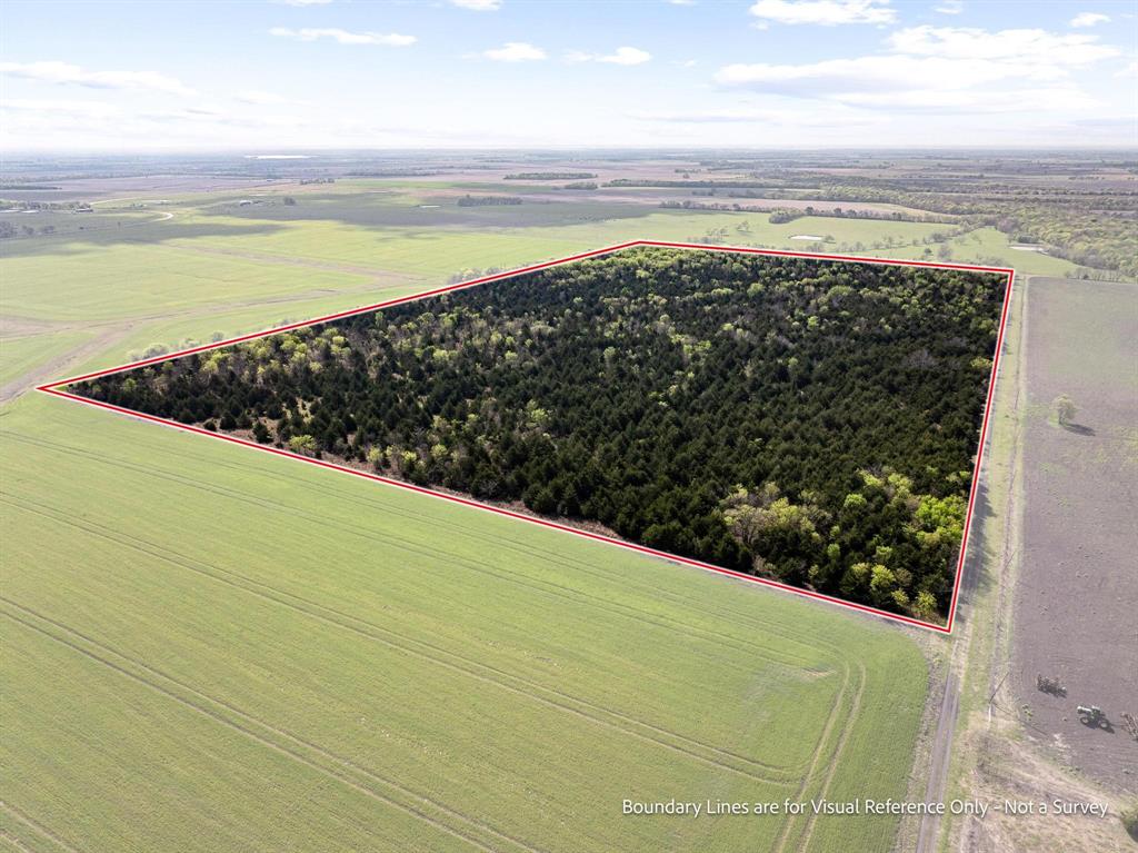 Tbd County Road 3230 Property Photo 12