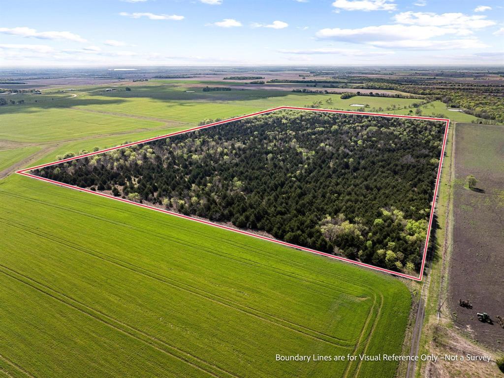 Tbd County Road 3230 Property Photo 13