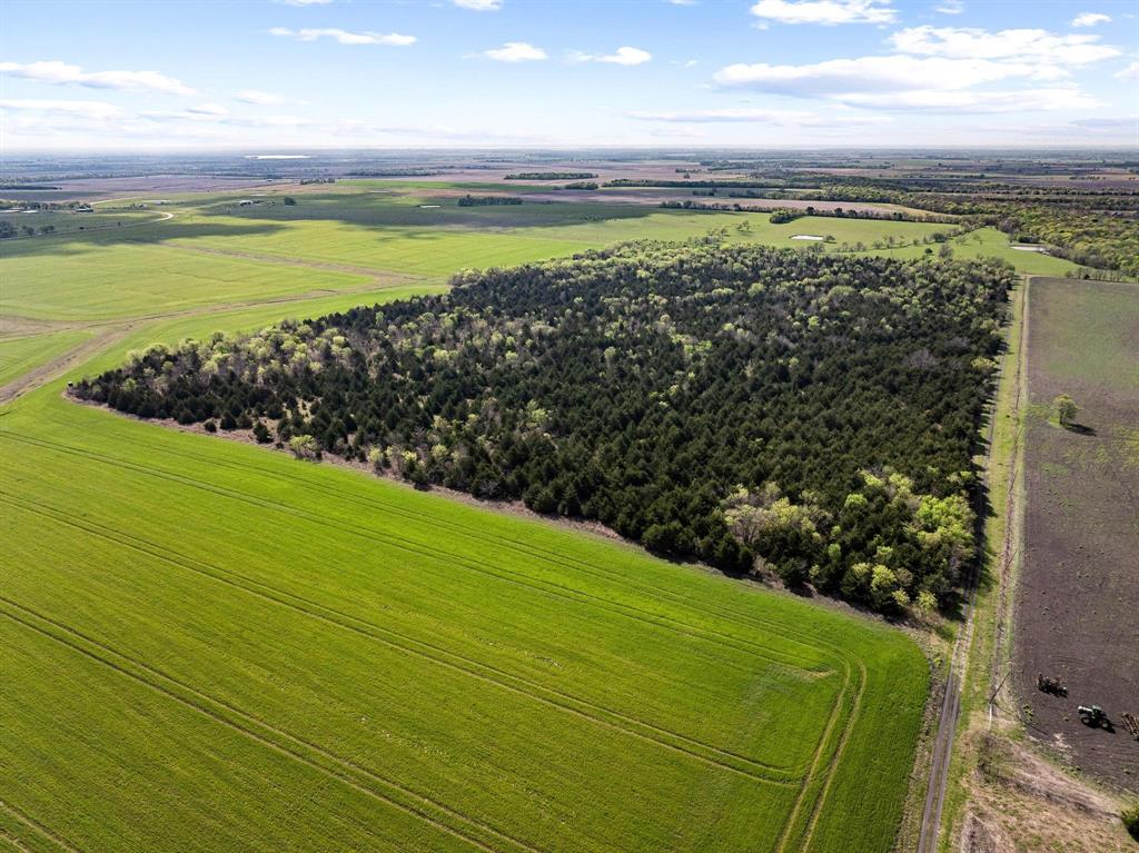 Tbd County Road 3230 Property Photo 14