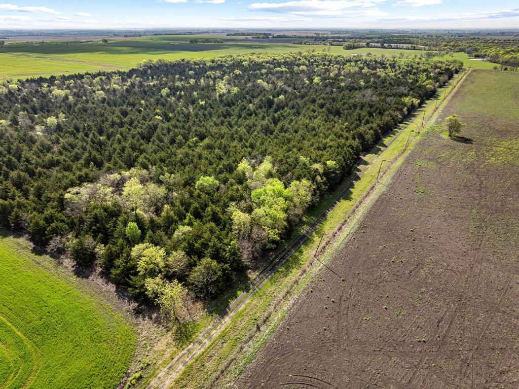 Tbd County Road 3230 Property Photo 15