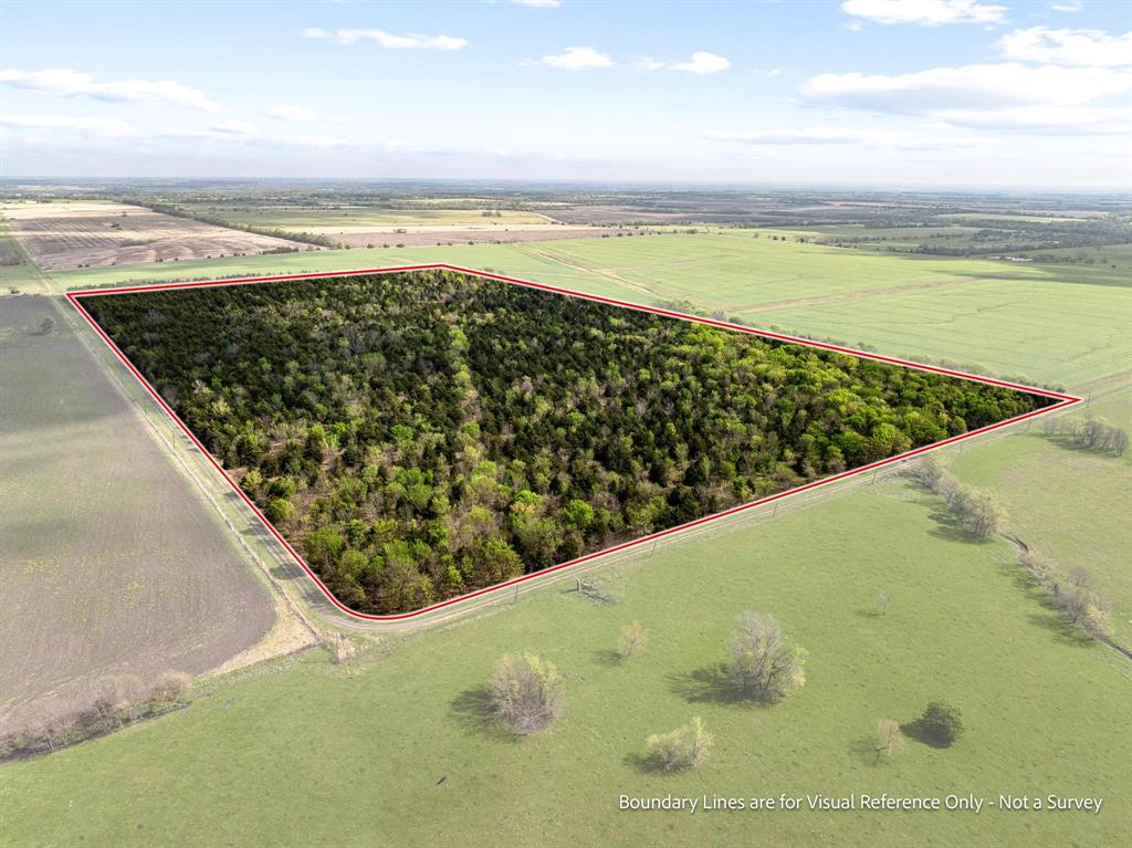 Tbd County Road 3230 Property Photo 16