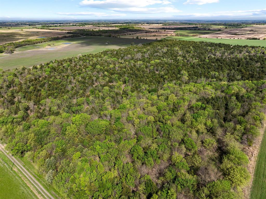 Tbd County Road 3230 Property Photo 17