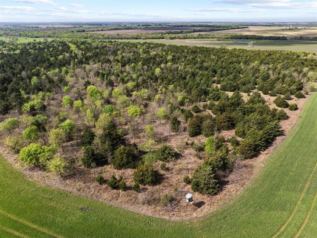 Tbd County Road 3230 Property Photo 18