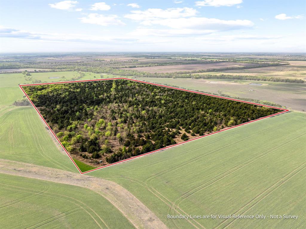 Tbd County Road 3230 Property Photo 19