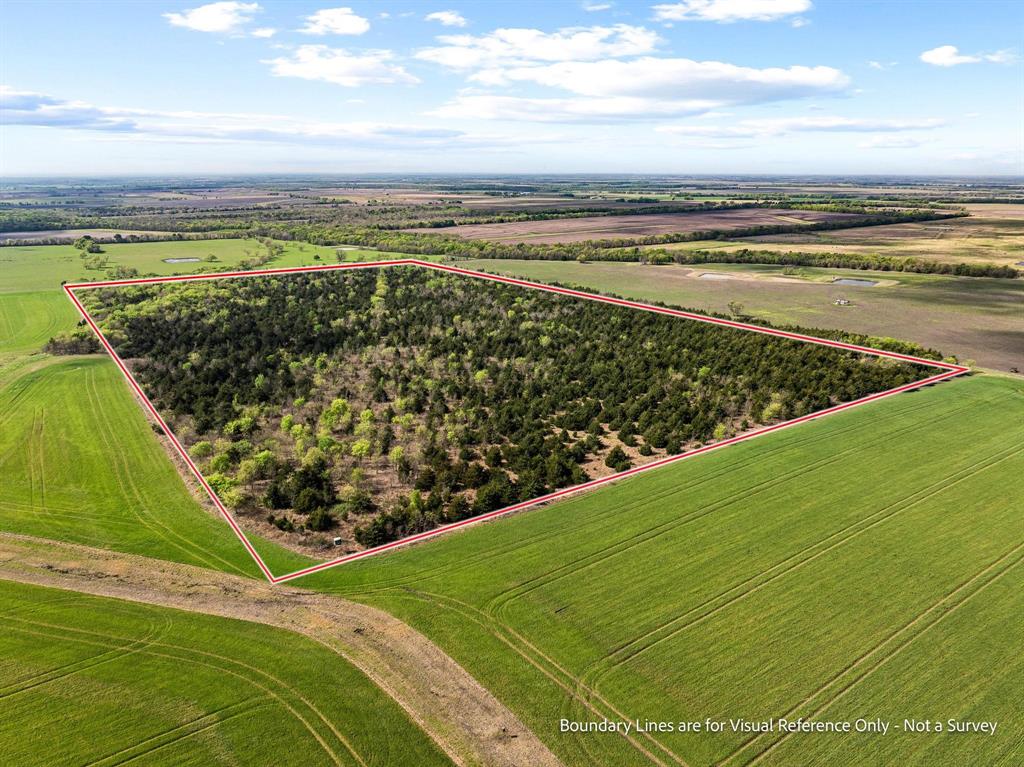 Tbd County Road 3230 Property Photo 20