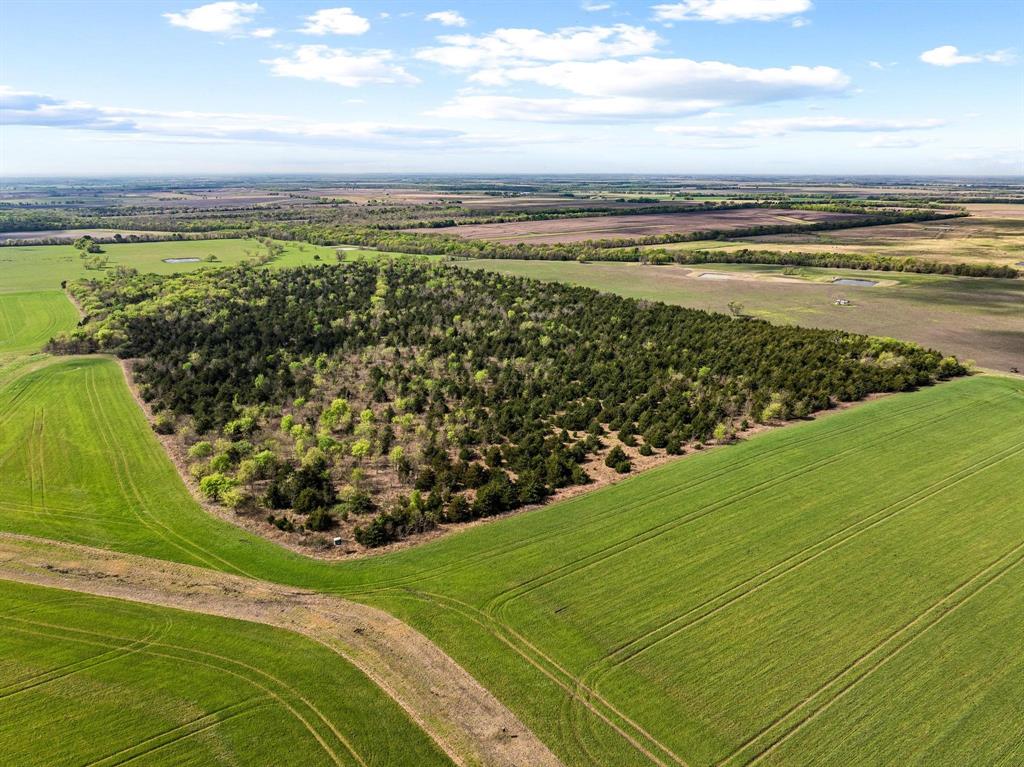 Tbd County Road 3230 Property Photo 21