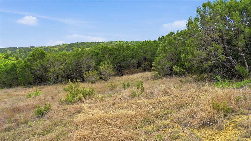 Tr956 Majestic Shores Property Photo 2