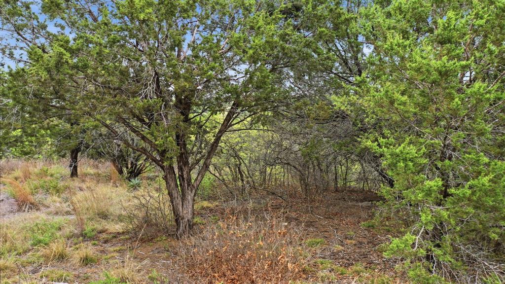 Tr956 Majestic Shores Property Photo 3