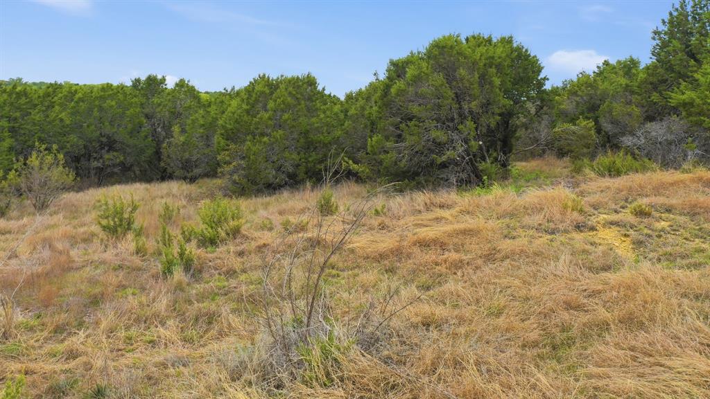 Tr956 Majestic Shores Property Photo 5