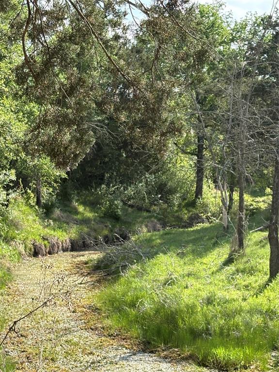 Tbd Whitetail Springs Lane Property Photo 1