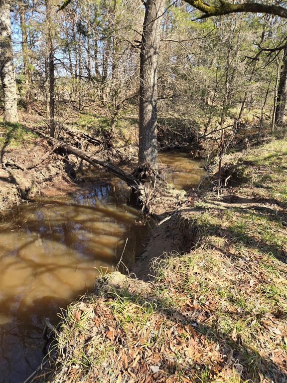 Tbd County Road 4612 Property Photo 2