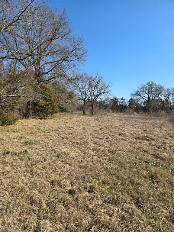 Tbd County Road 4612 Property Photo 4