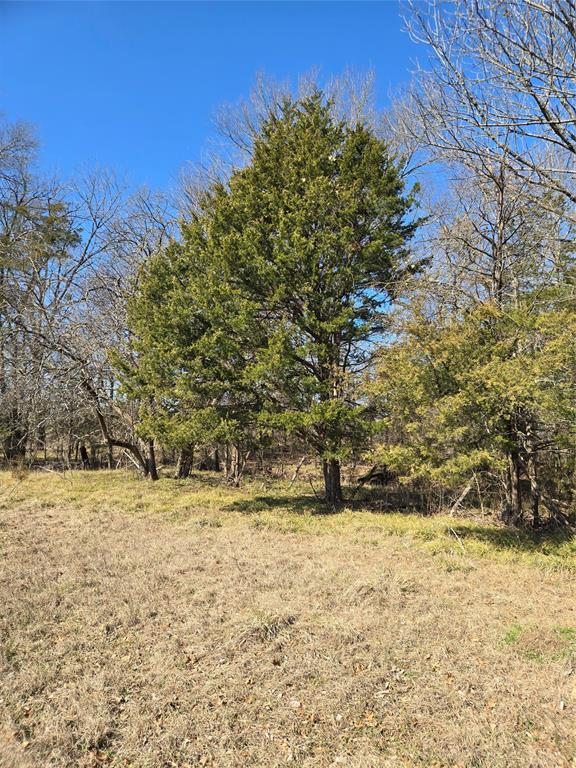 Tbd County Road 4612 Property Photo 5