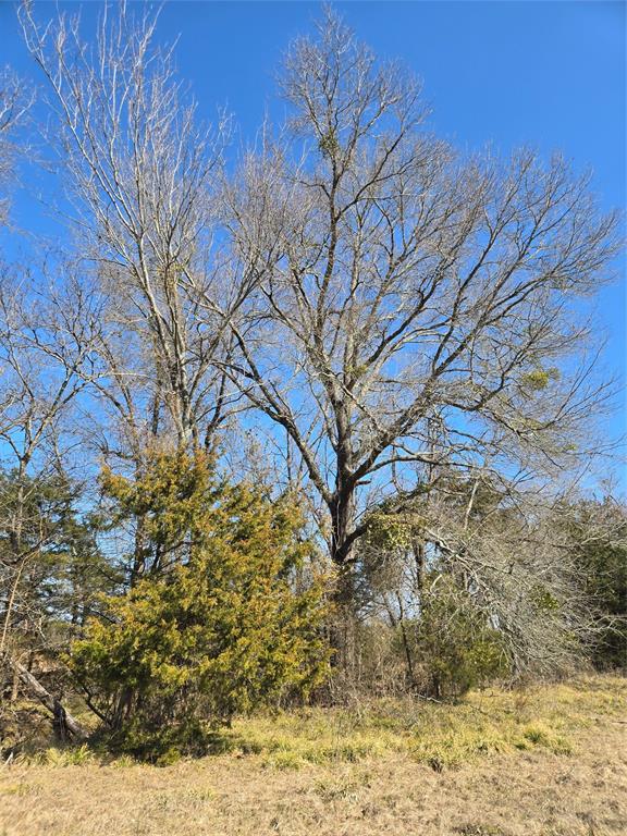 Tbd County Road 4612 Property Photo 6