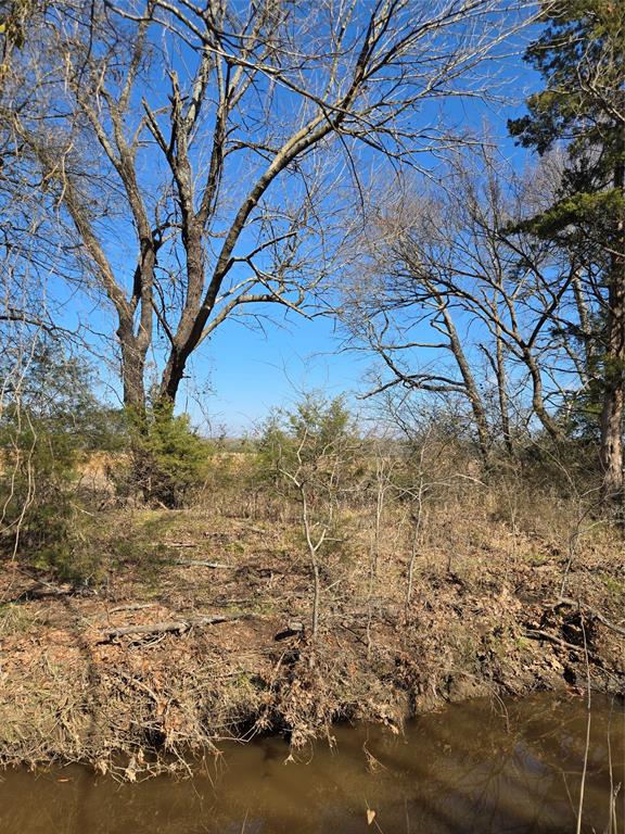 Tbd County Road 4612 Property Photo 7