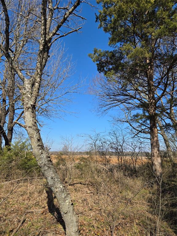 Tbd County Road 4612 Property Photo 8
