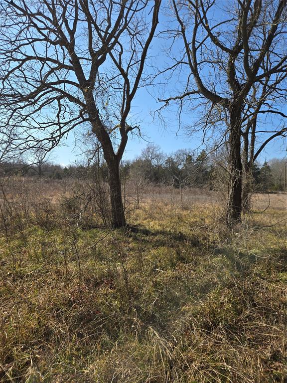 Tbd County Road 4612 Property Photo 10