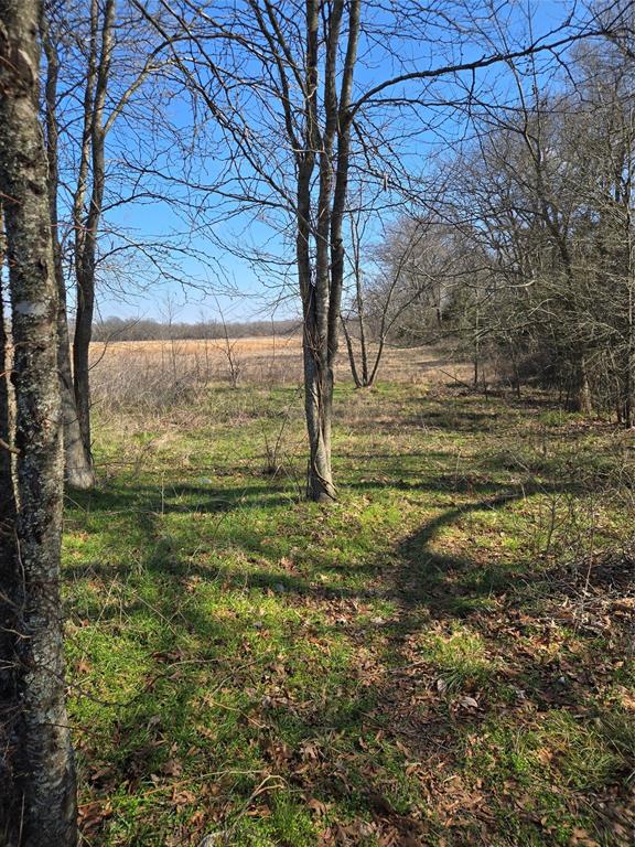 Tbd County Road 4612 Property Photo 11