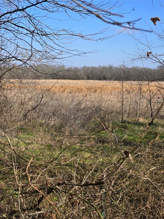 Tbd County Road 4612 Property Photo 12