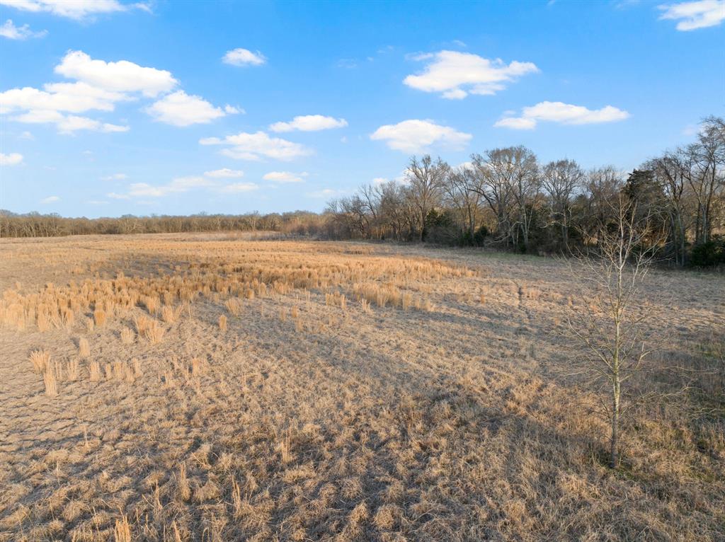 Tbd County Road 4612 Property Photo 16