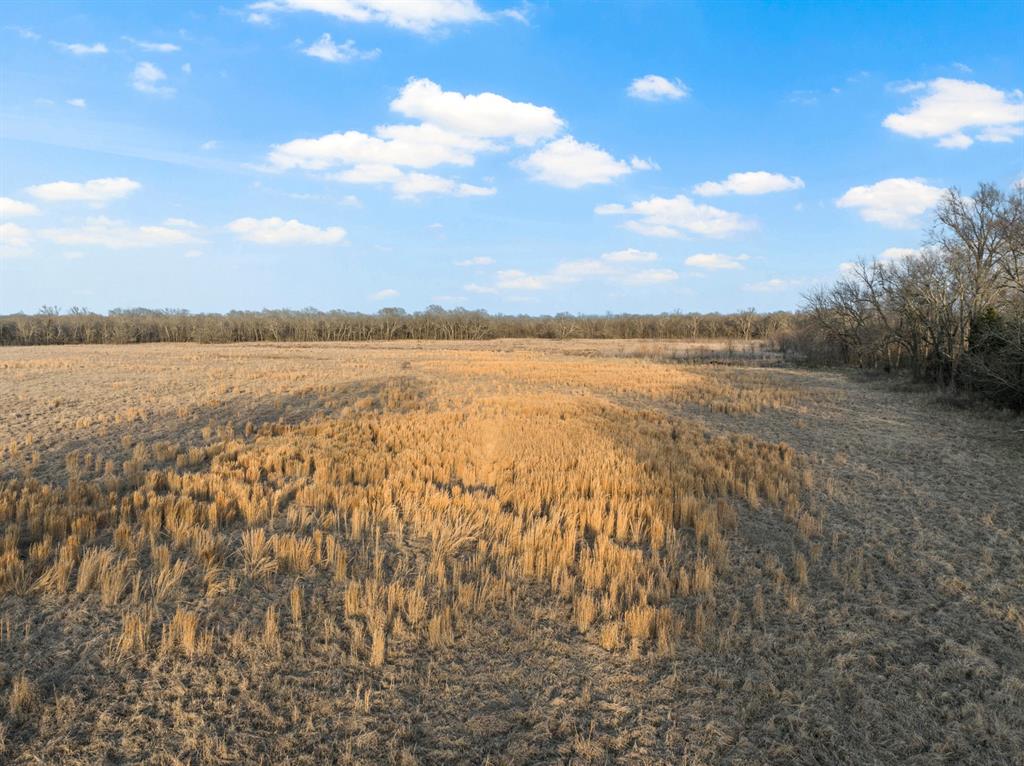 Tbd County Road 4612 Property Photo 17
